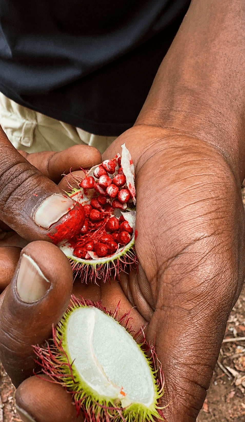 Spice Farm Experience