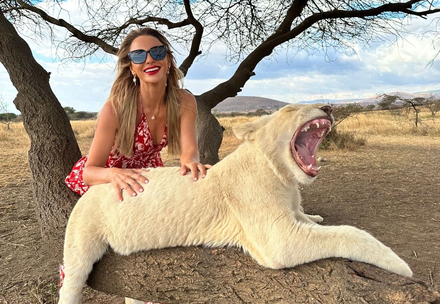 AFRICAN LEGEND Tarangire • Ngorongoro • Serval Wildlife