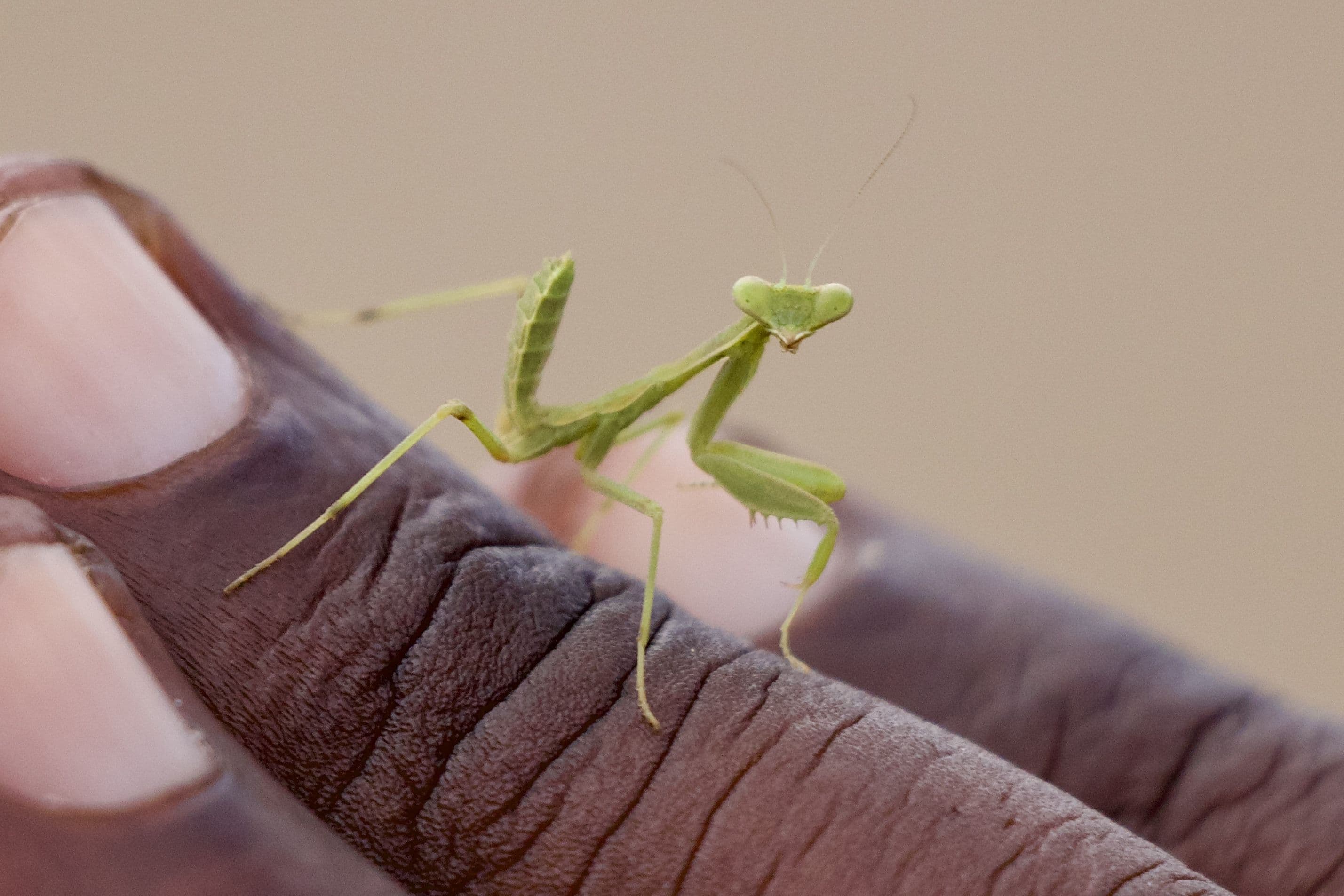 Do You Need Vaccines for a Trip to Tanzania? Let's Settle This Once and for All