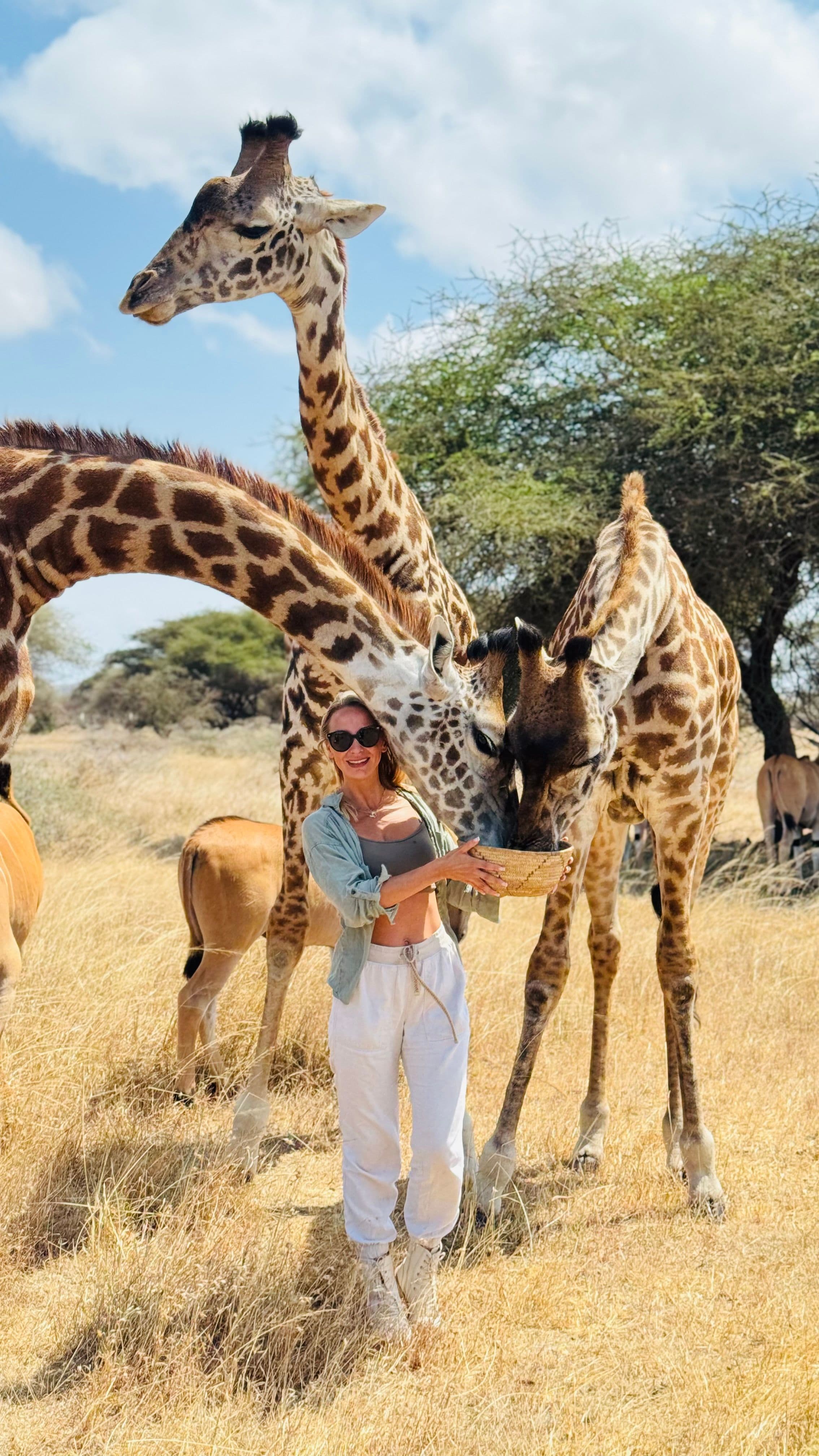 Safari Touch - Serval & Ngorongoro crater 