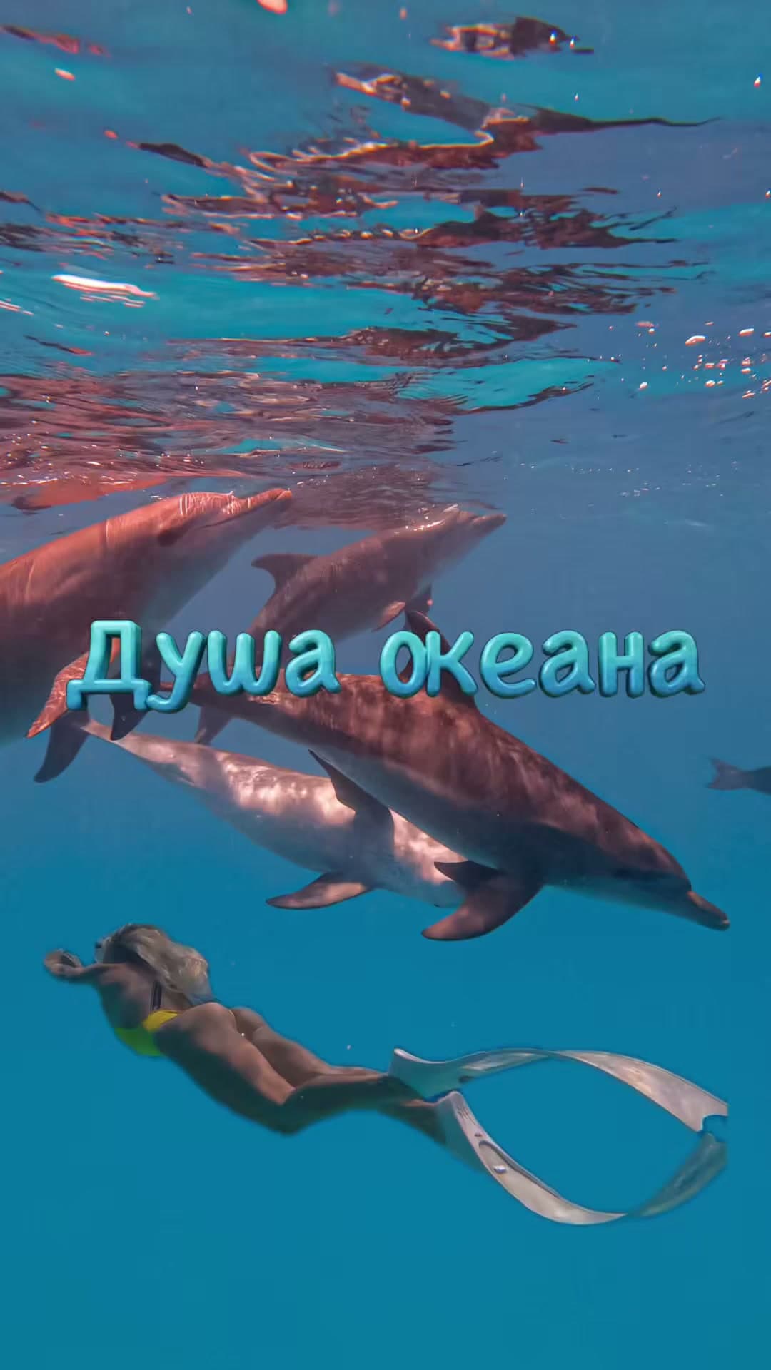 "Soul of the Ocean" Tour