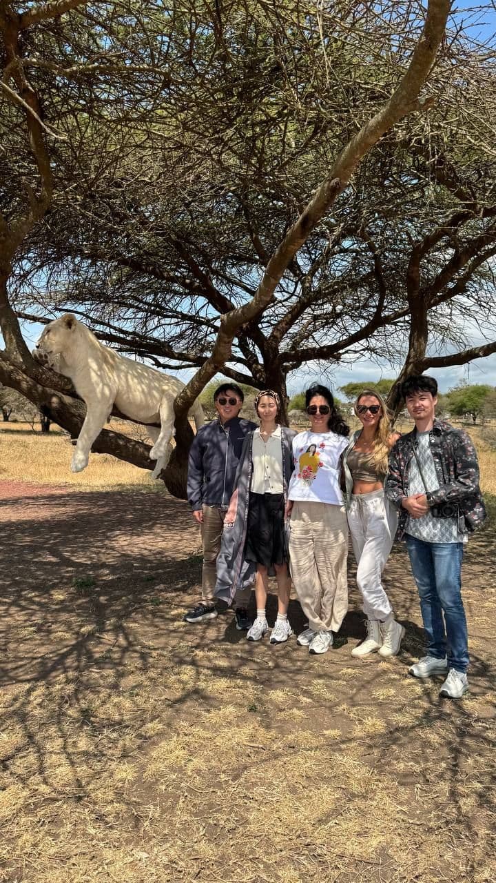 AFRICAN LEGEND Tarangire • Ngorongoro • Serval Wildlife